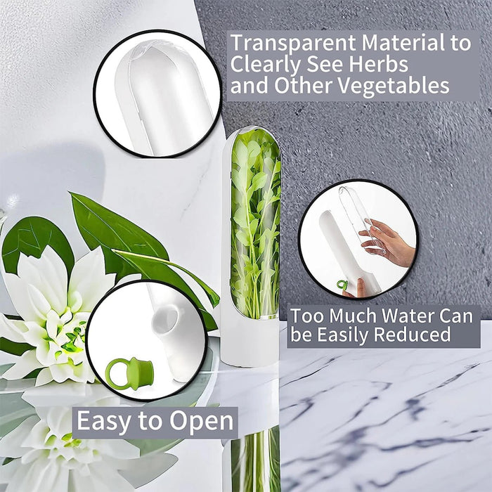 Herb Saver Storage Container Fresh Herb Keeper Vanilla Vegetables Fresh Preservation Bottle for Refrigerator Kitchen Gadgets - Shopsta EU