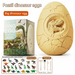 Yimi Children's Dinosaur Egg Dig Kit – DIY Fossil Blind Box (Ages 6–12)